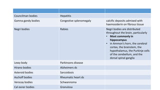 Councilman bodies Hepatitis
Gamna gandy bodies Congestive splenomegaly calcific deposits admixed with
haemosiderin on fibrous tissue
Negri bodies Rabies Negri bodies are distributed
throughout the brain, particularly
• Most commonly in
hippocampus
• in Ammon's horn, the cerebral
cortex, the brainstem, the
hypothalamus, the Purkinje cells
of the cerebellum, and the
dorsal spinal ganglia
Lewy body Parkinsons disease
Hirano bodies Alzheimers ds
Asteroid bodies Sarcoidosis
Aschoff bodies Rheumatic heart ds
Verocay bodies Schwannoma
Cal exner bodies Granulosa
 