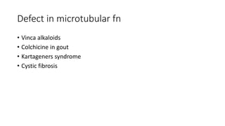 Defect in microtubular fn
• Vinca alkaloids
• Colchicine in gout
• Kartageners syndrome
• Cystic fibrosis
 