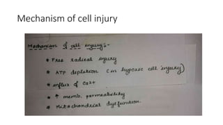 Mechanism of cell injury
 