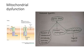 Mitochondrial
dysfunction
 