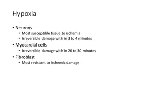 Hypoxia
• Neurons
• Most susceptible tissue to ischemia
• Irreversible damage with in 3 to 4 minutes
• Myocardial cells
• Irreversible damage with in 20 to 30 minutes
• Fibroblast
• Most resistant to ischemic damage
 