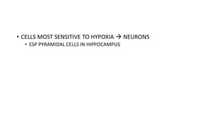 • CELLS MOST SENSITIVE TO HYPOXIA  NEURONS
• ESP PYRAMIDAL CELLS IN HIPPOCAMPUS
 