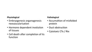 Physiological
• Embryogenesis organogenesis
neovascularisation
• Hormone dependent involution
of tissues
• Cell death after completion of its
function
Pathological
• Accumaltion of misfolded
protein
• Duct obstruction
• Cytotoxic CTx / Rtx
 
