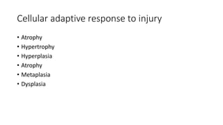 Cellular adaptive response to injury
• Atrophy
• Hypertrophy
• Hyperplasia
• Atrophy
• Metaplasia
• Dysplasia
 