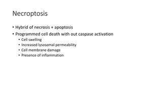 Necroptosis
• Hybrid of necrosis + apoptosis
• Programmed cell death with out caspase activation
• Cell swelling
• Increased lysosomal permeability
• Cell membrane damage
• Presence of inflammation
 