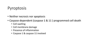 Pyroptosis
• Neither necrosis nor apoptosis
• Caspase dependent (caspase 1 & 11 ) programmed cell death
• Cell swelling
• Cell membrane damage
• Presence of inflammation
• Caspase 1 & caspase 11 involved
 