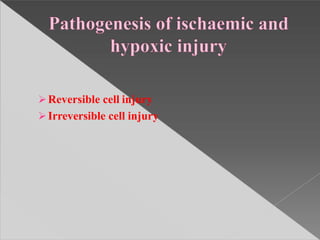 Reversible cell injury
Irreversible cell injury
 
