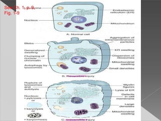See Ch. 1, p. 9,
Fig. 1-9
 