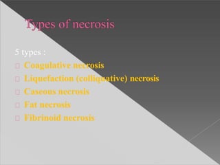 5 types :
Coagulative necrosis
Liquefaction (colliquative) necrosis
Caseous necrosis
Fat necrosis
Fibrinoid necrosis
 