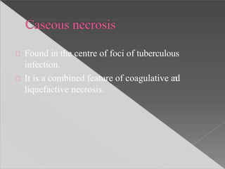 Found in the centre of foci of tuberculous
infection.
It is a combined feature of coagulative and
liquefactive necrosis.
 