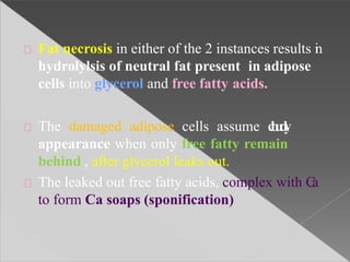 Fat necrosis in either of the 2 instances results in
hydrolylsis of neutral fat present in adipose
cells into glycerol and free fatty acids.
The damaged adipose cells assume cloudy
appearance when only free fatty remain
behind , after glycerol leaks out.
The leaked out free fatty acids, complex with Ca
to form Ca soaps (sponification)
 