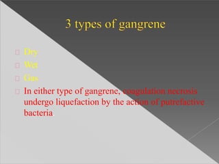 Dry
Wet
Gas
In either type of gangrene, coagulation necrosis
undergo liquefaction by the action of putrefactive
bacteria.
 