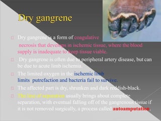 Dry gangrene is a form of coagulative
necrosis that develops in ischemic tissue, where the blood
supply is inadequate to keep tissue viable.
Dry gangrene is often due to peripheral artery disease, but can
be due to acute limb ischemia.
The limited oxygen in the ischemic limb
limits putrefaction and bacteria fail to survive.
The affected part is dry, shrunken and dark reddish-black.
The line of separation usually brings about complete
separation, with eventual falling off of the gangrenous tissue if
it is not removed surgically, a process called autoamputation.
 