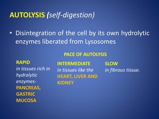 Cell injury | PPTX