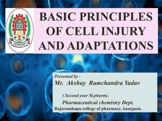 Presented by -
Mr. Akshay Ramchandra Yadav
( Second year M.pharm).
Pharmaceutical chemistry Dept.
Rajarambapu college of pharmacy, kasegaon..
BASIC PRINCIPLES
OF CELL INJURY
AND ADAPTATIONS
 