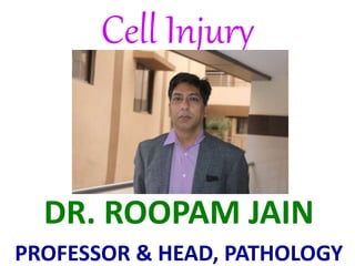Cell Injury
DR. ROOPAM JAIN
PROFESSOR & HEAD, PATHOLOGY
 