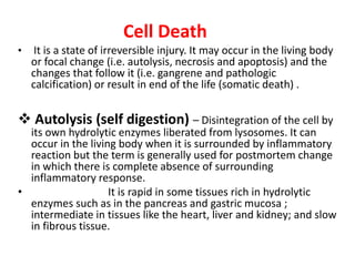 Cell Injury.pptx