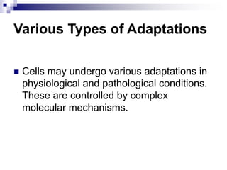 Various Types of Adaptations
 Cells may undergo various adaptations in
physiological and pathological conditions.
These are controlled by complex
molecular mechanisms.
 