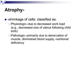 Atrophy-
 -shrinkage of cells; classified as:
Physiologic--due to decreased work load
(e.g., decreased size of uterus following child
birth)
Pathologic--primarily due to denervation of
muscle, diminished blood supply, nutritional
deficiency
 