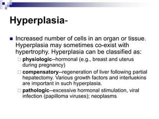 Hyperplasia-
 Increased number of cells in an organ or tissue.
Hyperplasia may sometimes co-exist with
hypertrophy. Hyperplasia can be classified as:
 physiologic--hormonal (e.g., breast and uterus
during pregnancy)
 compensatory--regeneration of liver following partial
hepatectomy. Various growth factors and interluekins
are important in such hyperplasia.
 pathologic--excessive hormonal stimulation, viral
infection (papilloma viruses); neoplasms
 