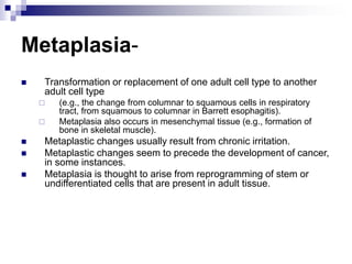 Metaplasia-
 Transformation or replacement of one adult cell type to another
adult cell type
 (e.g., the change from columnar to squamous cells in respiratory
tract, from squamous to columnar in Barrett esophagitis).
 Metaplasia also occurs in mesenchymal tissue (e.g., formation of
bone in skeletal muscle).
 Metaplastic changes usually result from chronic irritation.
 Metaplastic changes seem to precede the development of cancer,
in some instances.
 Metaplasia is thought to arise from reprogramming of stem or
undifferentiated cells that are present in adult tissue.
 