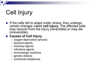 Cell Injury
 If the cells fail to adapt under stress, they undergo
certain changes called cell injury. The affected cells
may recover from the injury (reversible) or may die
(irreversible).
 Causes of Cell Injury
 oxygen deprivation (anoxia)
 physical agents
 chemical agents
 infections agents
 immunologic reactions
 genetic defects
 nutritional imbalances
 