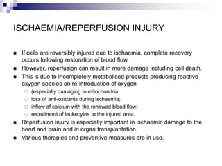 ISCHAEMIA/REPERFUSION INJURY
 If cells are reversibly injured due to ischaemia, complete recovery
occurs following restoration of blood flow.
 However, reperfusion can result in more damage including cell death.
 This is due to incompletely metabolised products producing reactive
oxygen species on re-introduction of oxygen
 (especially damaging to mitochondria;
 loss of anti-oxidants during ischaemia;
 inflow of calcium with the renewed blood flow;
 recruitment of leukocytes to the injured area.
 Reperfusion injury is especially important in ischaemic damage to the
heart and brain and in organ transplantation.
 Various therapies and preventive measures are in use.
 
