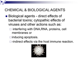 CHEMICAL & BIOLOGICAL AGENTS
 Biological agents - direct effects of
bacterial toxins; cytopathic effects of
viruses and other actions such as:
 interfering with DNA,RNA, proteins, cell
membranes or
inducing apoptosis.
-indirect effects via the host immune reaction.
 