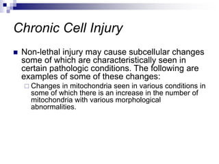 Chronic Cell Injury
 Non-lethal injury may cause subcellular changes
some of which are characteristically seen in
certain pathologic conditions. The following are
examples of some of these changes:
 Changes in mitochondria seen in various conditions in
some of which there is an increase in the number of
mitochondria with various morphological
abnormalities.
 