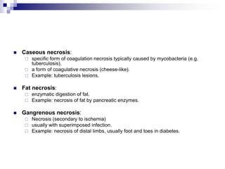  Caseous necrosis:
 specific form of coagulation necrosis typically caused by mycobacteria (e.g.
tuberculosis).
 a form of coagulative necrosis (cheese-like).
 Example: tuberculosis lesions.
 Fat necrosis:
 enzymatic digestion of fat.
 Example: necrosis of fat by pancreatic enzymes.
 Gangrenous necrosis:
 Necrosis (secondary to ischemia)
 usually with superimposed infection.
 Example: necrosis of distal limbs, usually foot and toes in diabetes.
 