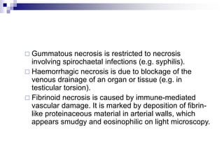  Gummatous necrosis is restricted to necrosis
involving spirochaetal infections (e.g. syphilis).
 Haemorrhagic necrosis is due to blockage of the
venous drainage of an organ or tissue (e.g. in
testicular torsion).
 Fibrinoid necrosis is caused by immune-mediated
vascular damage. It is marked by deposition of fibrin-
like proteinaceous material in arterial walls, which
appears smudgy and eosinophilic on light microscopy.
 
