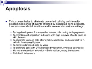 Apoptosis
 This process helps to eliminate unwanted cells by an internally
programmed series of events effected by dedicated gene products.
It serves several vital functions and is seen under various settings.
 During development for removal of excess cells during embryogenesis
 To maintain cell population in tissues with high turnover of cells, such as
skin, bowels.
 To eliminate immune cells after cytokine depletion, and autoreactive T-
cells in developing thymus.
 To remove damaged cells by virus
 To eliminate cells with DNA damage by radiation, cytotoxic agents etc.
 Hormone-dependent involution - Endometrium, ovary, breasts etc.
 Cell death in tumours.
 