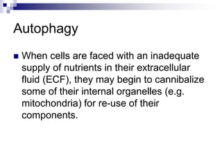 Autophagy
 When cells are faced with an inadequate
supply of nutrients in their extracellular
fluid (ECF), they may begin to cannibalize
some of their internal organelles (e.g.
mitochondria) for re-use of their
components.
 