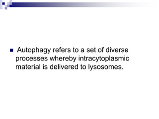  Autophagy refers to a set of diverse
processes whereby intracytoplasmic
material is delivered to lysosomes.
 