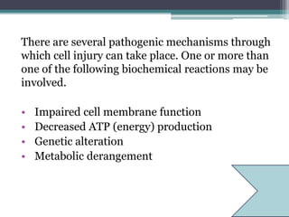 There are several pathogenic mechanisms through
which cell injury can take place. One or more than
one of the following biochemical reactions may be
involved.
• Impaired cell membrane function
• Decreased ATP (energy) production
• Genetic alteration
• Metabolic derangement
 