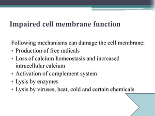 Impaired cell membrane function
Following mechanisms can damage the cell membrane:
• Production of free radicals
• Loss of calcium homeostasis and increased
intracellular calcium
• Activation of complement system
• Lysis by enzymes
• Lysis by viruses, heat, cold and certain chemicals
 
