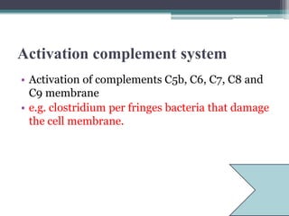Activation complement system
• Activation of complements C5b, C6, C7, C8 and
C9 membrane
• e.g. clostridium per fringes bacteria that damage
the cell membrane.
 
