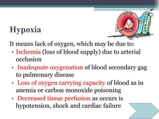 Нурохіа
It means lack of oxygen, which may be due to:
• Ischemia (loss of blood supply) due to arterial
occlusion
• Inadequate oxygenation of blood secondary gag
to pulmonary disease
• Loss of oxygen carrying capacity of blood as in
anemia or carbon monoxide poisoning
• Decreased tissue perfusion as occurs is
hypotension, shock and cardiac failure
 