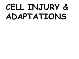 CELL INJURY &
ADAPTATIONS
 