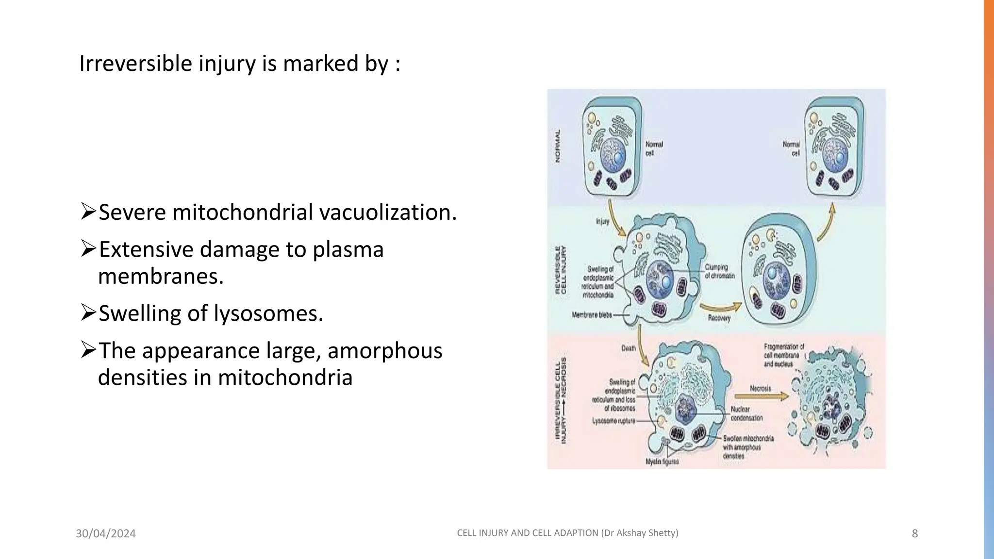 Cell injury and Cellular Adaption Dr Akshay Shetty.pptx