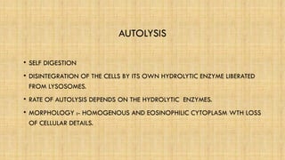 cell injury- irreversible cell injury- necrosand degenerationisi | PPTX