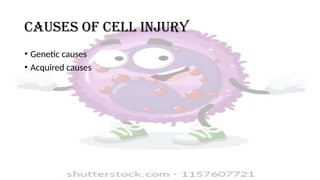 Cellular Damage Powerpoint Icon CELL INJURY.pptx cell injury cell injury | PPTX