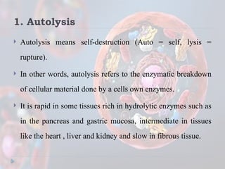 CELL INJURY (Reversible OR Irreversible Cell Injury | PPTX