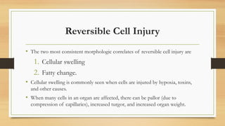 Cell Injury ppt reversible and irreversible injury | PPTX