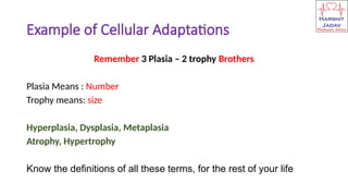 cell injury and cellular adaptation.pptx