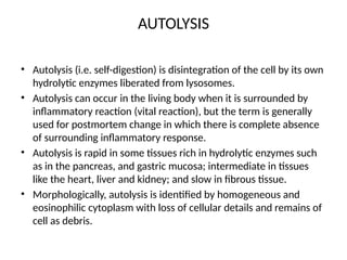 Cell injury ( pathology lecture for medical students) | PPTX
