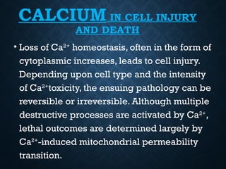 Basic Principles of Cell injury and Adaptation: Homeostasis, Components ...