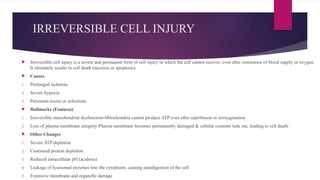 IRREVERSIBLE CELL INJURY
 Irreversible cell injury is a severe and permanent form of cell injury in which the cell cannot recover, even after restoration of blood supply or oxygen.
It ultimately results in cell death (necrosis or apoptosis).
 Causes
1. Prolonged ischemia
2. Severe hypoxia
3. Persistent toxins or infections
 Hallmarks (Features)
1. Irreversible mitochondrial dysfunction-Mitochondria cannot produce ATP even after reperfusion or reoxygenation.
2. Loss of plasma membrane integrity-Plasma membrane becomes permanently damaged & cellular contents leak out, leading to cell death.
 Other Changes
1. Severe ATP depletion
2. Continued protein depletion
3. Reduced intracellular pH (acidosis)
4. Leakage of lysosomal enzymes into the cytoplasm, causing autodigestion of the cell
5. Extensive membrane and organelle damage
 
