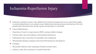 Ischaemia-Reperfusion Injury
 Ischaemia–reperfusion injury is the additional cell and tissue damage that occurs when blood supply
is restored (reperfusion) to an ischemic tissue. Rather than restoring structure and function of the cell,
paradoxically deteriorates the already injured cell and leads it to cell death.
 Causes (Mechanisms)
1. Generation of reactive oxygen species (ROS) causing oxidative damage.
2. Calcium influx into cells leading to mitochondrial dysfunction.
3. Inflammation due to activation of neutrophils and complement.
4. Mitochondrial damage resulting in decreased ATP production and apoptosis.
 Examples
1. Myocardial infarction after reopening a blocked coronary artery
2. Ischemic stroke after restoration of cerebral blood flow
 