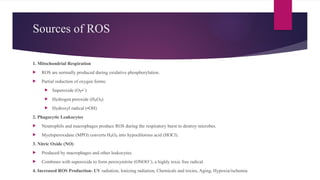 Sources of ROS
1. Mitochondrial Respiration
 ROS are normally produced during oxidative phosphorylation.
 Partial reduction of oxygen forms:
 Superoxide (O • )
₂ ⁻
 Hydrogen peroxide (H O )
₂ ₂
 Hydroxyl radical (•OH)
2. Phagocytic Leukocytes
 Neutrophils and macrophages produce ROS during the respiratory burst to destroy microbes.
 Myeloperoxidase (MPO) converts H O into hypochlorous acid (HOCl).
₂ ₂
3. Nitric Oxide (NO)
 Produced by macrophages and other leukocytes.
 Combines with superoxide to form peroxynitrite (ONOO ), a highly toxic free radical.
⁻
4. Increased ROS Production- UV radiation, Ionizing radiation, Chemicals and toxins, Aging, Hypoxia/ischemia
 